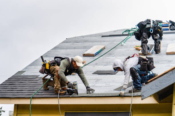 Professional Gutter Installation technician working in Onley, VA